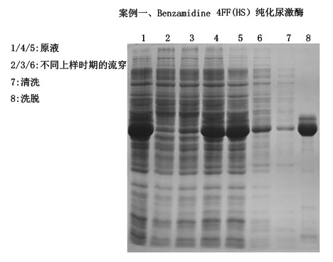 5d3fe07e19077.png A3.png