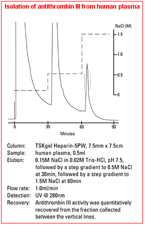 5d4b816b4c250.png A.png